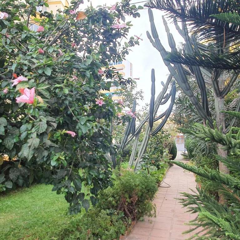 APARTAMENTO Torre Del Mar - Two-Bedroom Apartment - 3