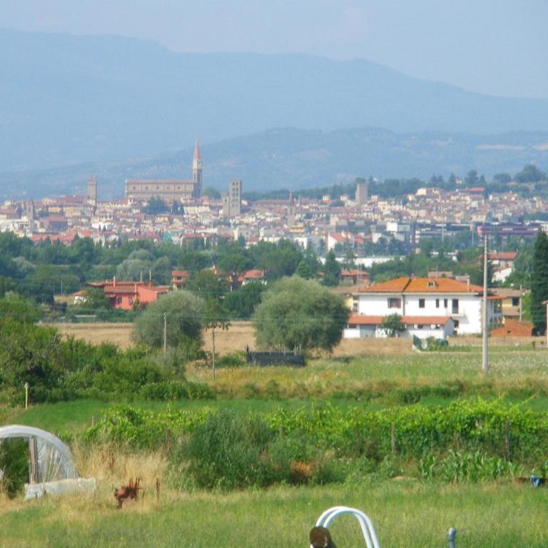 Agriturismo Villalba - Appartamento con 1 Camera da Letto - 11