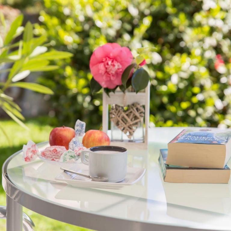 Smart-HOTEL MINUSIO, a Swiss Quality Hotel - Camera Matrimoniale con Giardino - 3