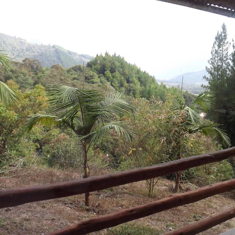 La Casita de Oxapampa - Chalet de 2 dormitorios - 12