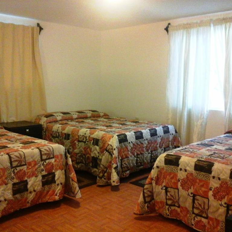 Whale Hill - Apartamento - 2 niveles - 12