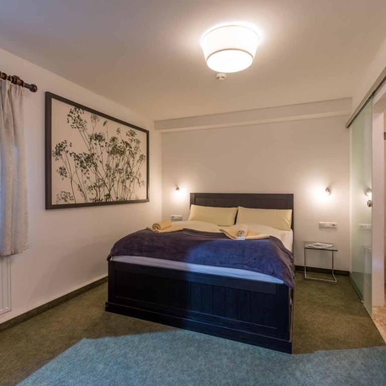 Alpenresidenz Fieberbrunn - Apartment mit 1 Schlafzimmer - 4