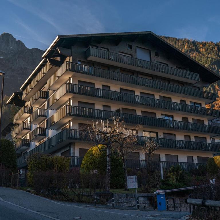 Portes du Brevent -1 bedroom apartment with magnificient Mont Blanc views - Apartment mit 1 Schlafzimmer - 16