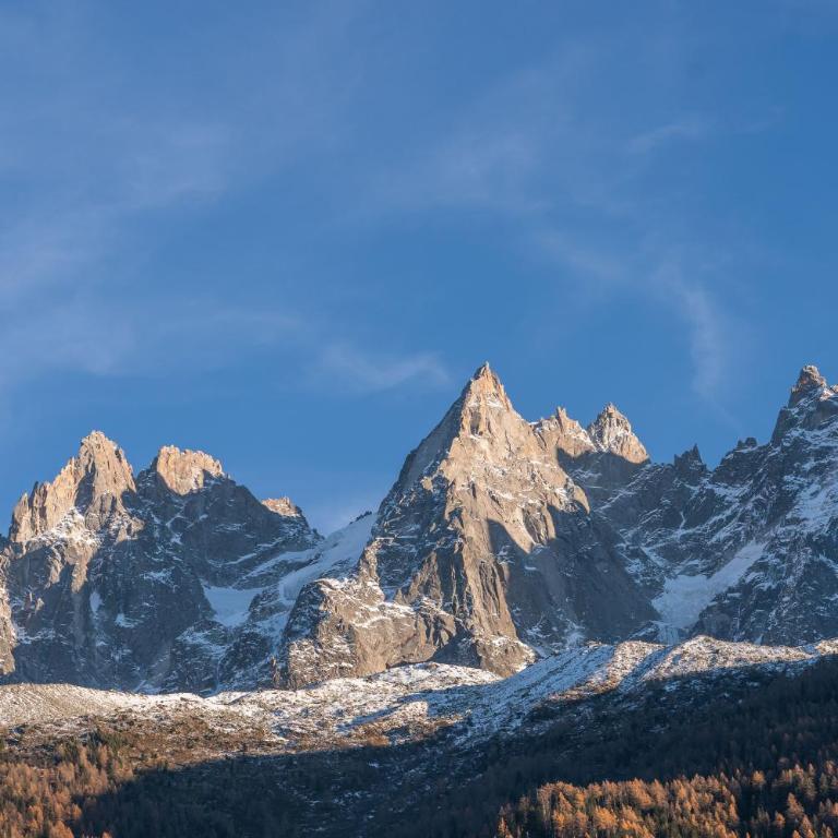 Portes du Brevent -1 bedroom apartment with magnificient Mont Blanc views - Apartment mit 1 Schlafzimmer - 17