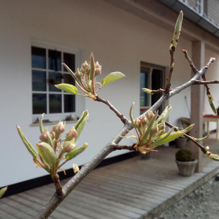 Malvasia Apart - Apartment mit 2 Schlafzimmern - 24