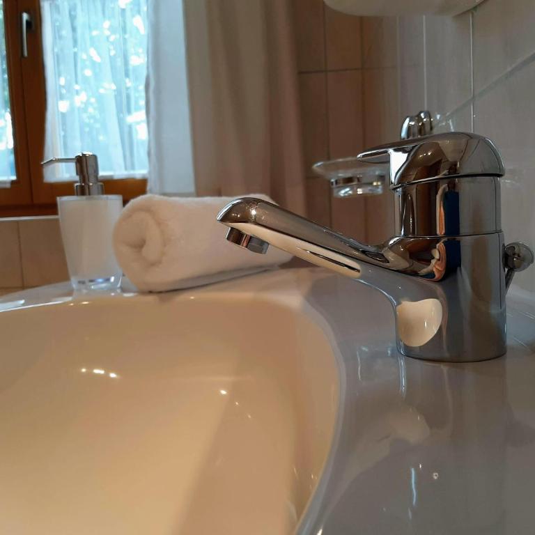 Ferienwohnung Aschaber - Apartment mit Dusche - 2