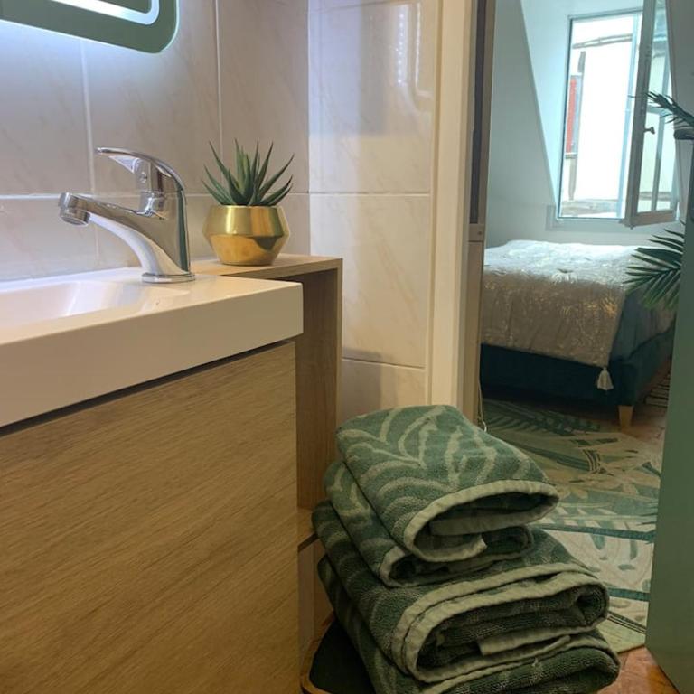 Escale Tropicale à Blois - Appartement 1 Chambre - 5