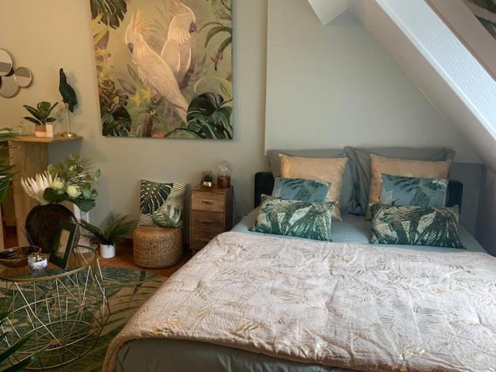 Escale Tropicale à Blois - Appartement 1 Chambre - 13