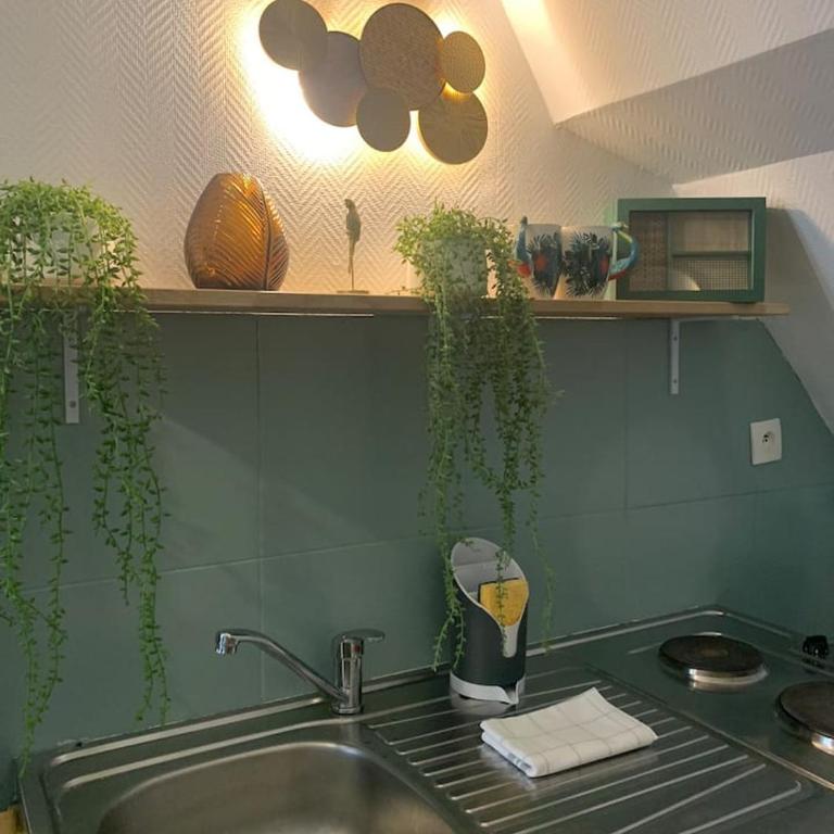 Escale Tropicale à Blois - Appartement 1 Chambre - 15