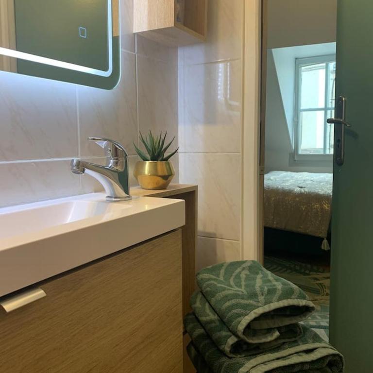 Escale Tropicale à Blois - Appartement 1 Chambre - 9