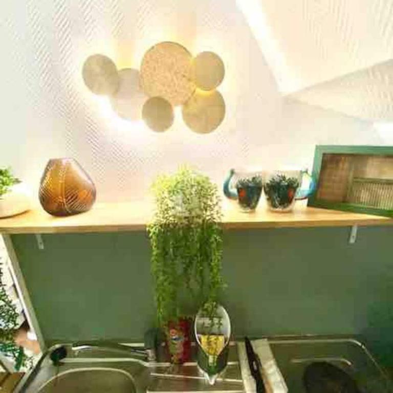 Escale Tropicale à Blois - Appartement 1 Chambre - 23