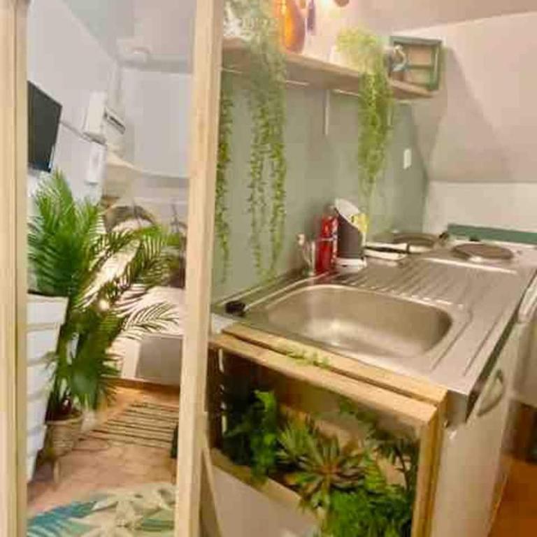 Escale Tropicale à Blois - Appartement 1 Chambre - 29