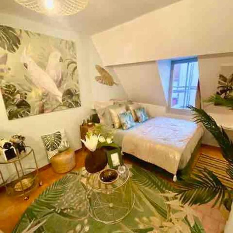 Escale Tropicale à Blois - Appartement 1 Chambre - 34