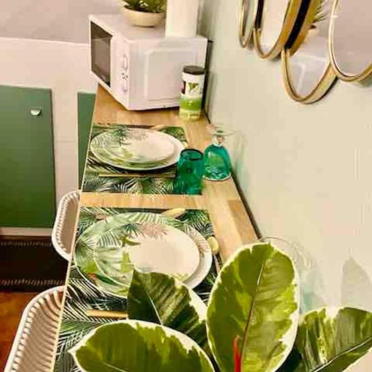Escale Tropicale à Blois - Appartement 1 Chambre - 35
