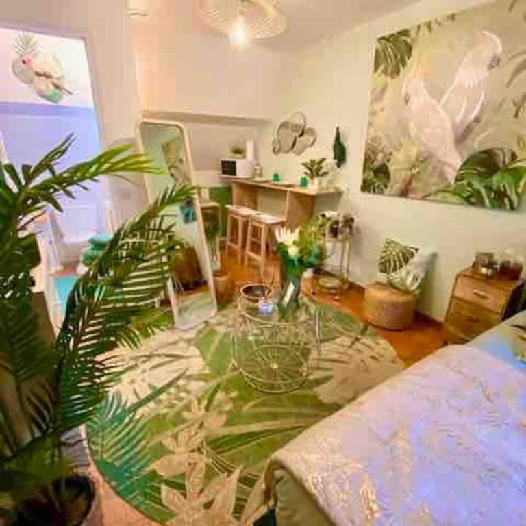 Escale Tropicale à Blois - Appartement 1 Chambre - 36