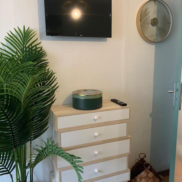 Escale Tropicale à Blois - Appartement 1 Chambre - 37