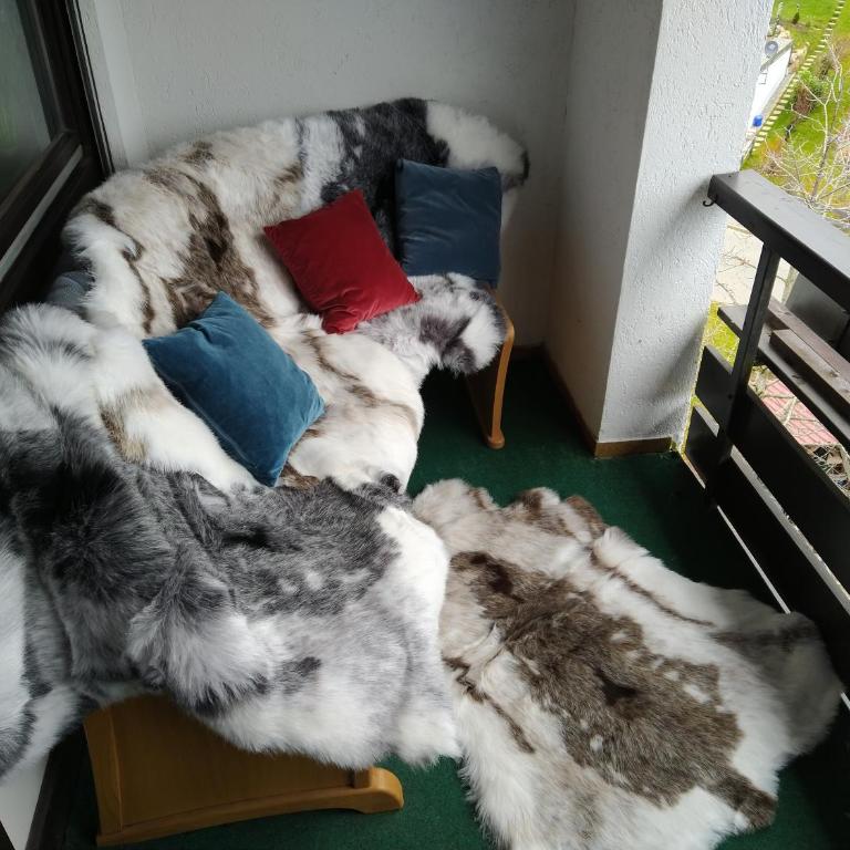 Mailin`s Apartment inkl Oberstaufen Plus Card - Apartment mit 1 Schlafzimmer - 16