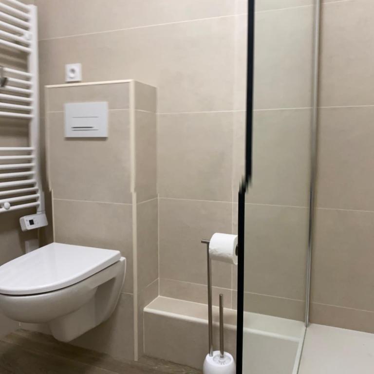 Large beautiful studio near the NEGRESCO HOTEL - Studio Deluxe - 17