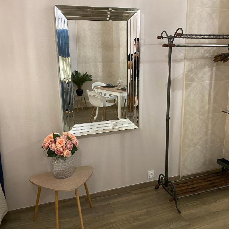 Large beautiful studio near the NEGRESCO HOTEL - Studio Deluxe - 20