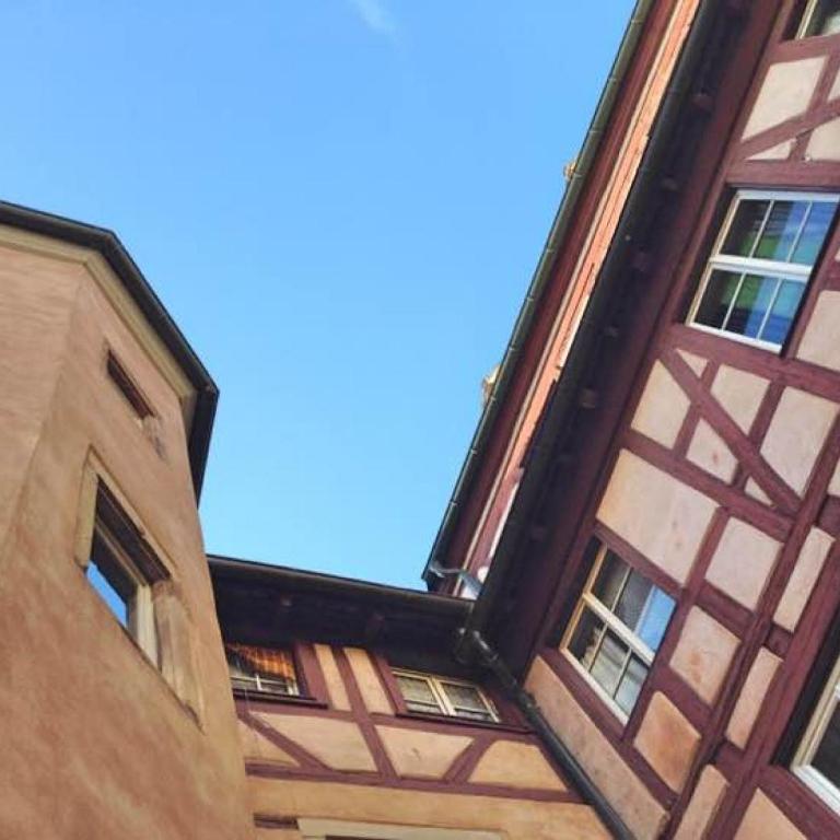 Le Cocon Petite France - Appartamento - 1