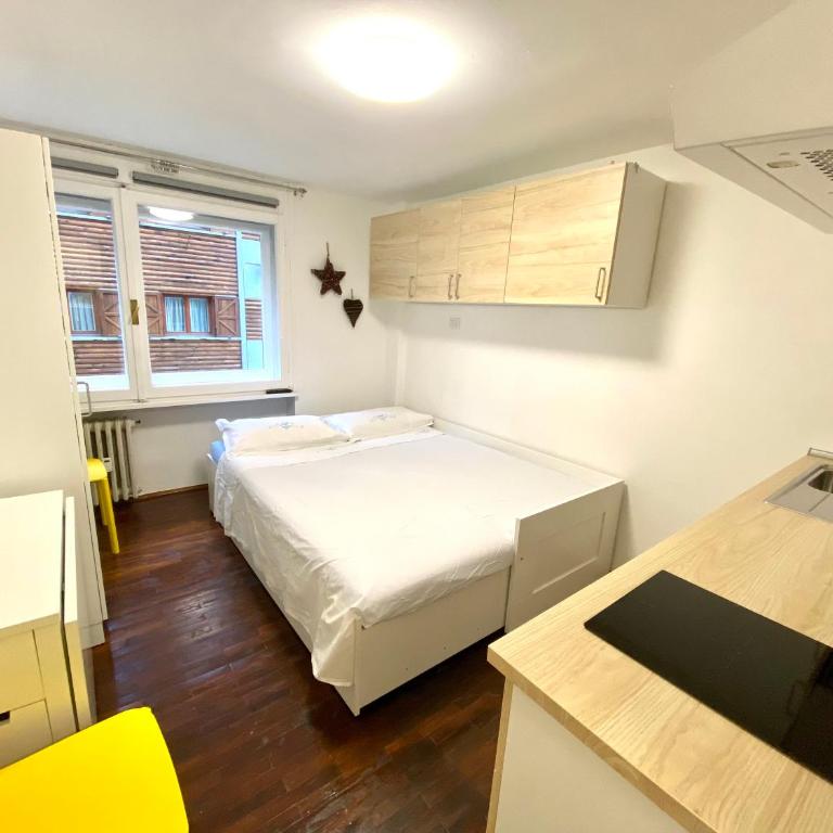 Luna's Cozy Apartment, skiin skiout in centre - Apartment mit 1 Schlafzimmer - 17