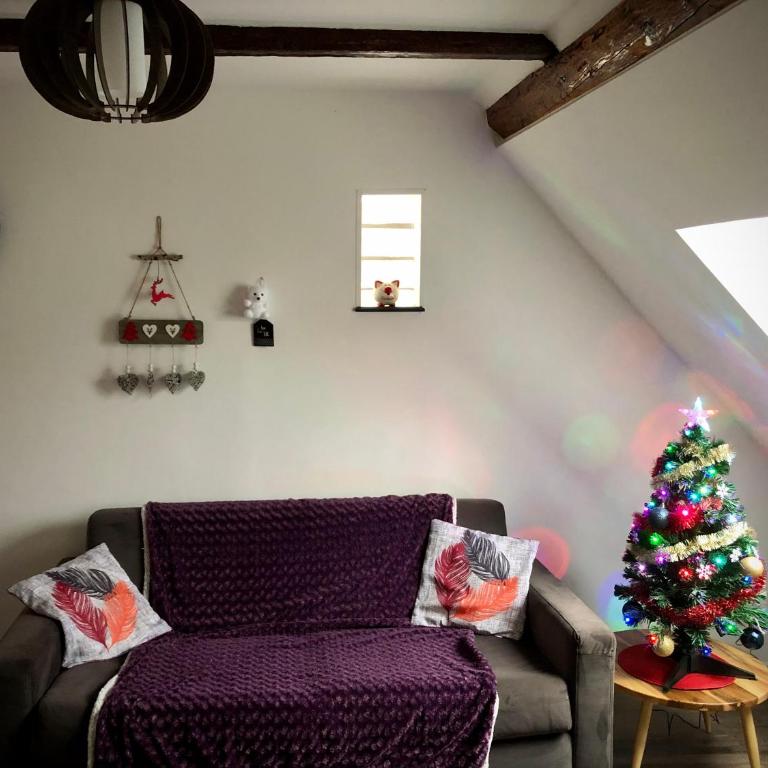 Gîtes La Petite Venise Colmar - Apartment - 15