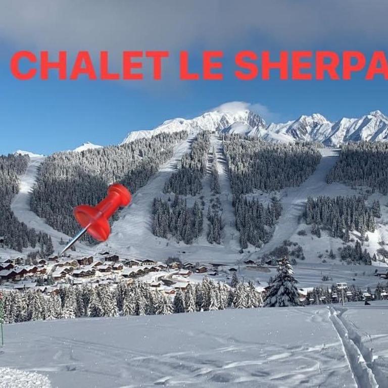 Grand appartement aux SAISIES - Appartamento con 2 Camere da Letto - 28
