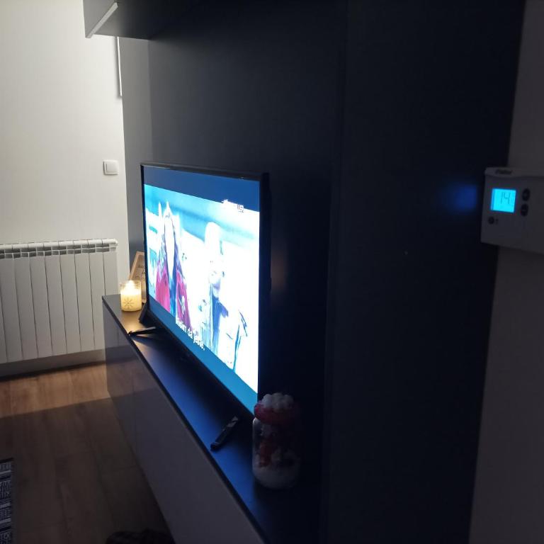Studio apartman OLAF - One-Bedroom Apartment - 2