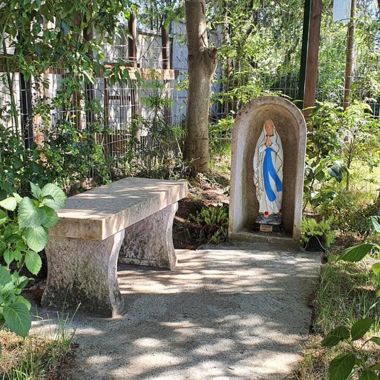 Centro Turístico Los Copihues de Villarrica - Casa de 2 dormitorios - 25