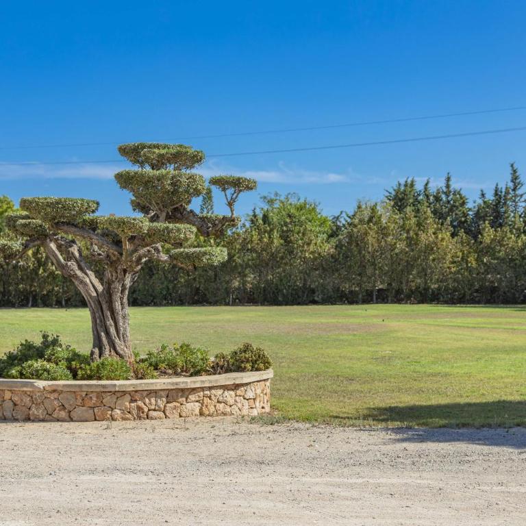 Villa Can Magnus - Villa Deluxe - 10