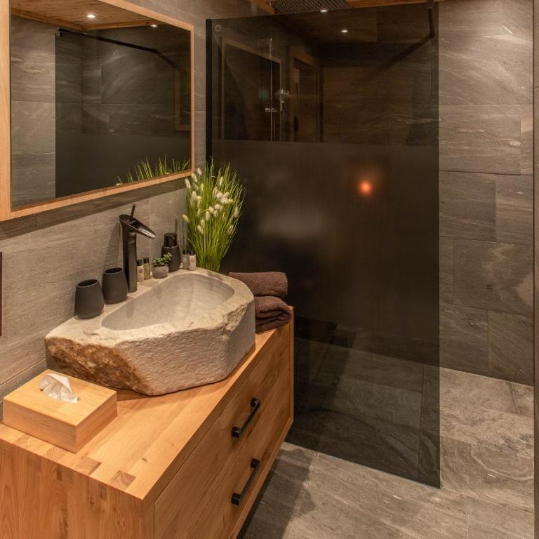 The VIEW - KAPRUN - Studio-Apartment - 11
