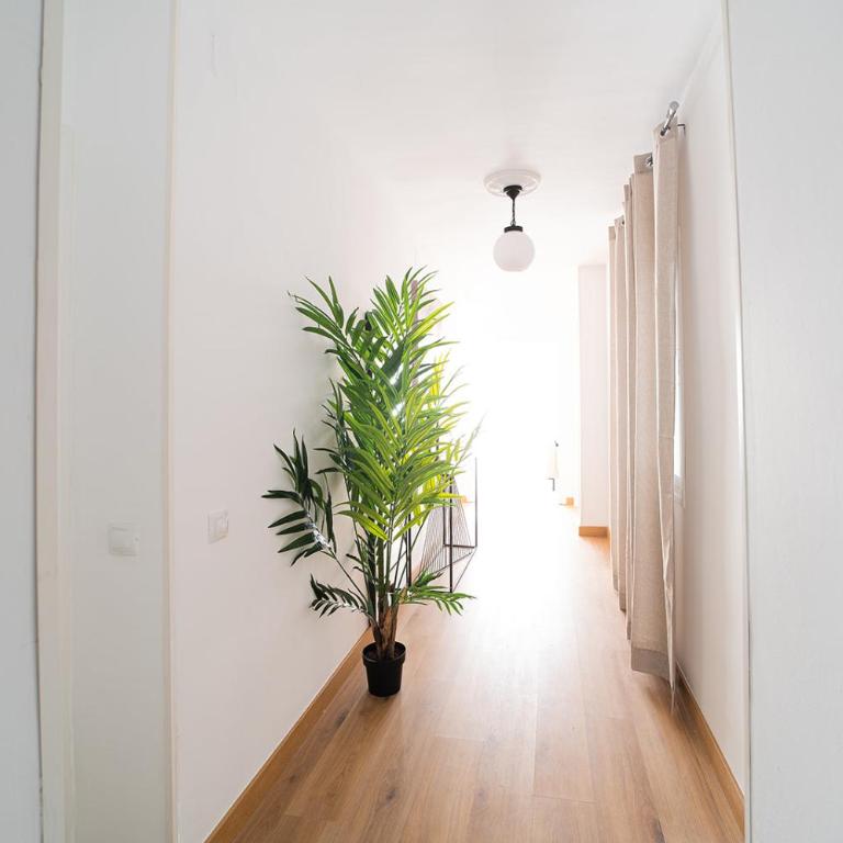 Expoholidays - General Tamayo PARKING gratis - Apartamento de 3 dormitorios - 17