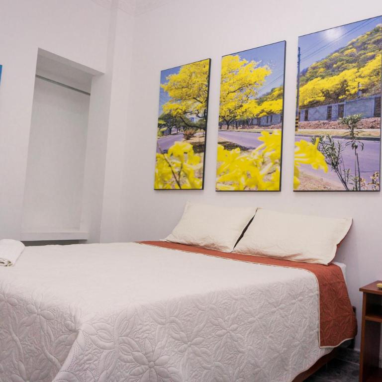 Hotel Casa Martina Valledupar - Habitación Doble - 5