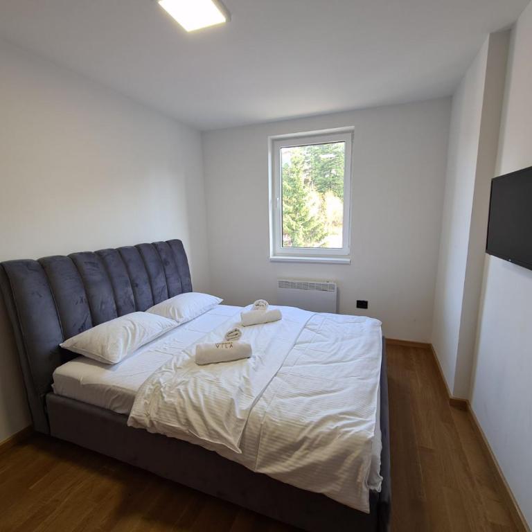 Jahorinska vila, apartmani DIJANA - One-Bedroom Apartment - 12
