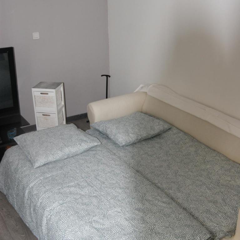 appartement individuelle refais a neuf,ds maison de maître,6 couchages dont un lit kingsize,cuisine avec lave vaisselle,rue privative pour se garer, accessibilité au jardin - Apartment mit 2 Schlafzimmern - 9