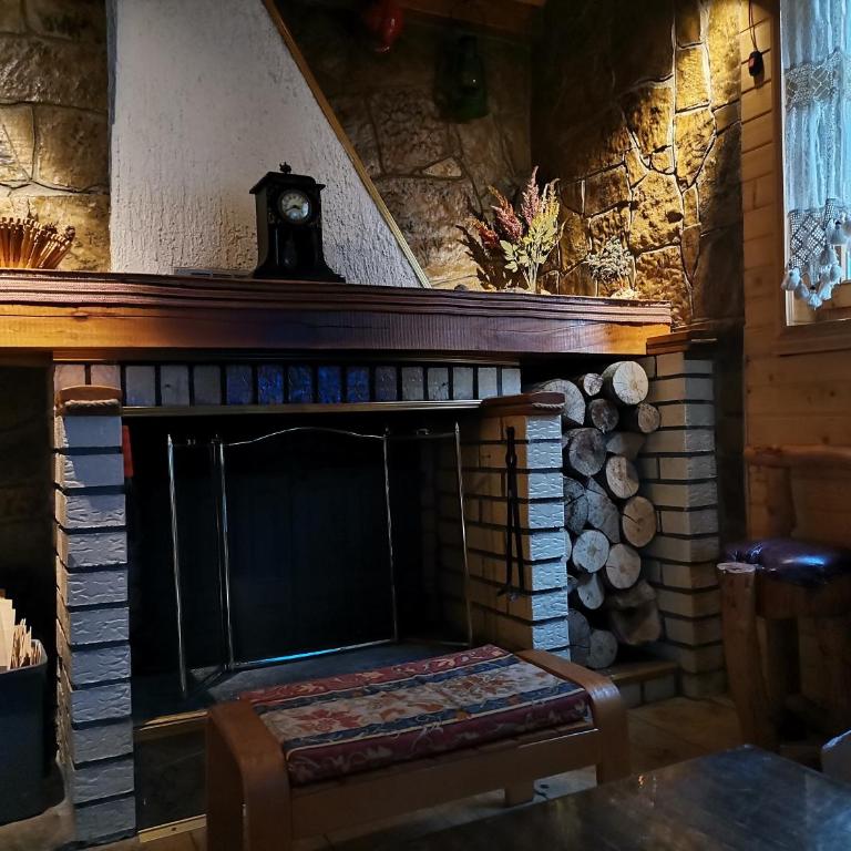 VILA PAVLOVIC - Vacation Home - 27