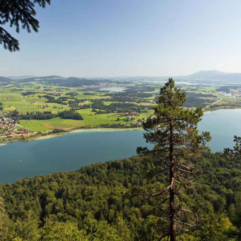 Ferienwohnung Brenner - Apartment mit Seeblick - 16