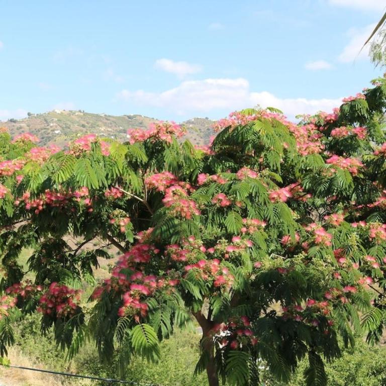 Exceptional Costa del Sol Villa El Espuela for 10 Heated pool Amazing views & quality - Villa con piscina privada - 63
