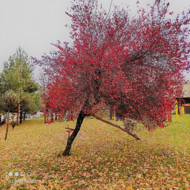 BAH house - Kuća sa 2 Spavaće Sobe - 65