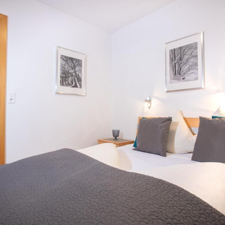 Zillertal Appartements - Apartment mit Terrasse - 2