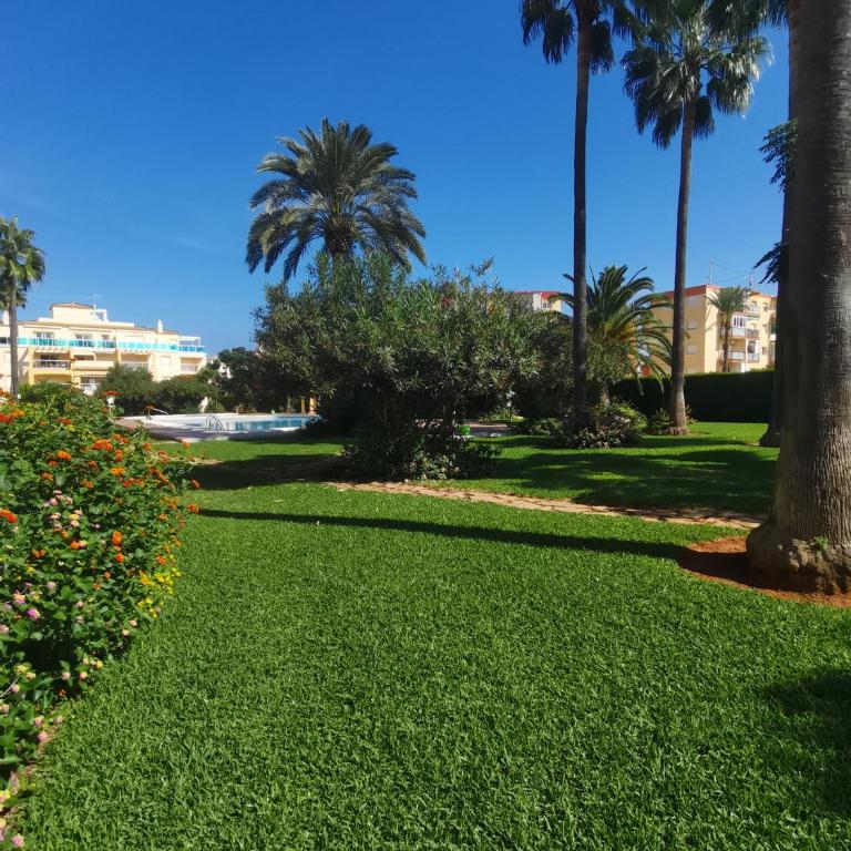 La Riviera Planta Baja - Apartamento de 1 dormitorio - 6