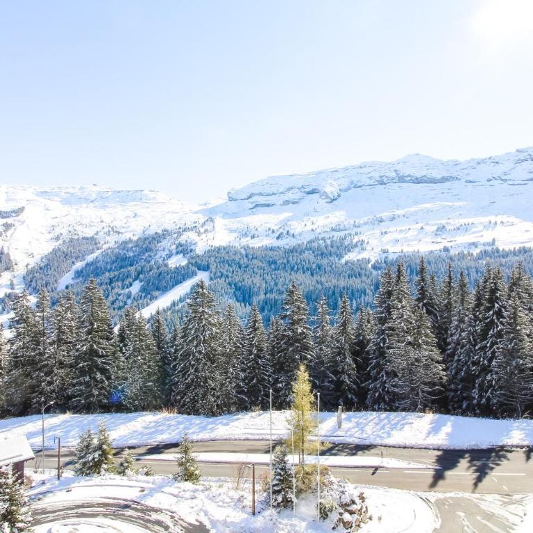 Beautiful one-bedroom apartment with fireplace and stunning views - Appartement avec Vue sur la Montagne - 52