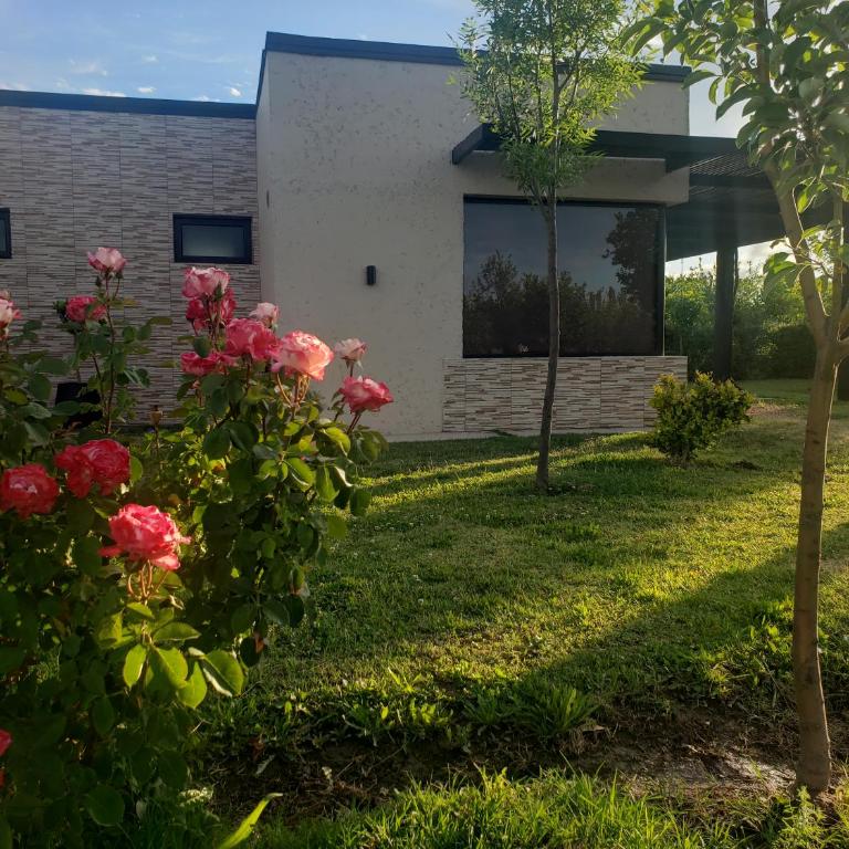 Altos del Atuel - Loft - 16