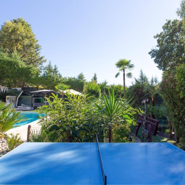 Juan Les Pins Near Cannes Beaches 18-20 Guests - Villa - 9