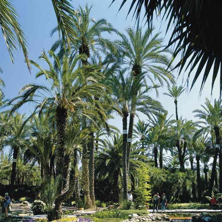LUXURY New Apartment CITY CENTRE & BEACH, Alicante - Deluxe Apartment - 50