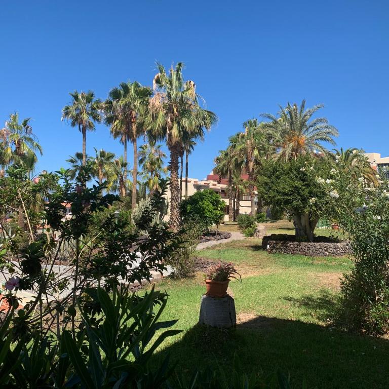 Estudio Miraverde, Adeje - Apartamento de 1 dormitorio - 32