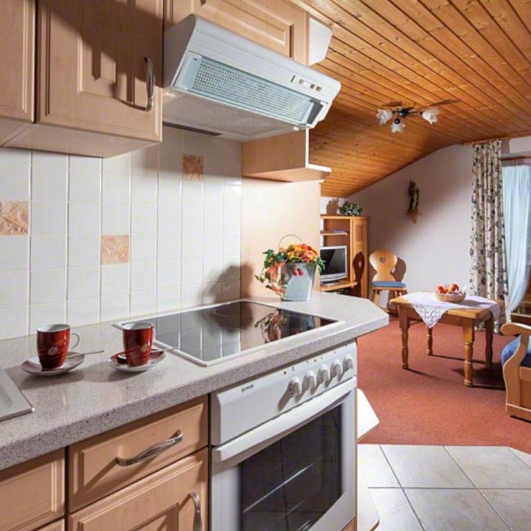 Ferienwohnung Triembachhof - Apartment mit Blick auf die Berge - 1