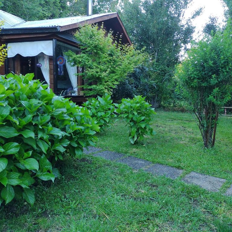 Cabaña amoblada Pucon - Two-Bedroom Apartment - 6