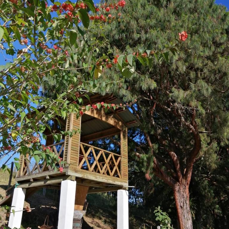 ALMA Glamping - San Francisco Cund - A 1h de Bogotá - Villa de 1 dormitorio - 16