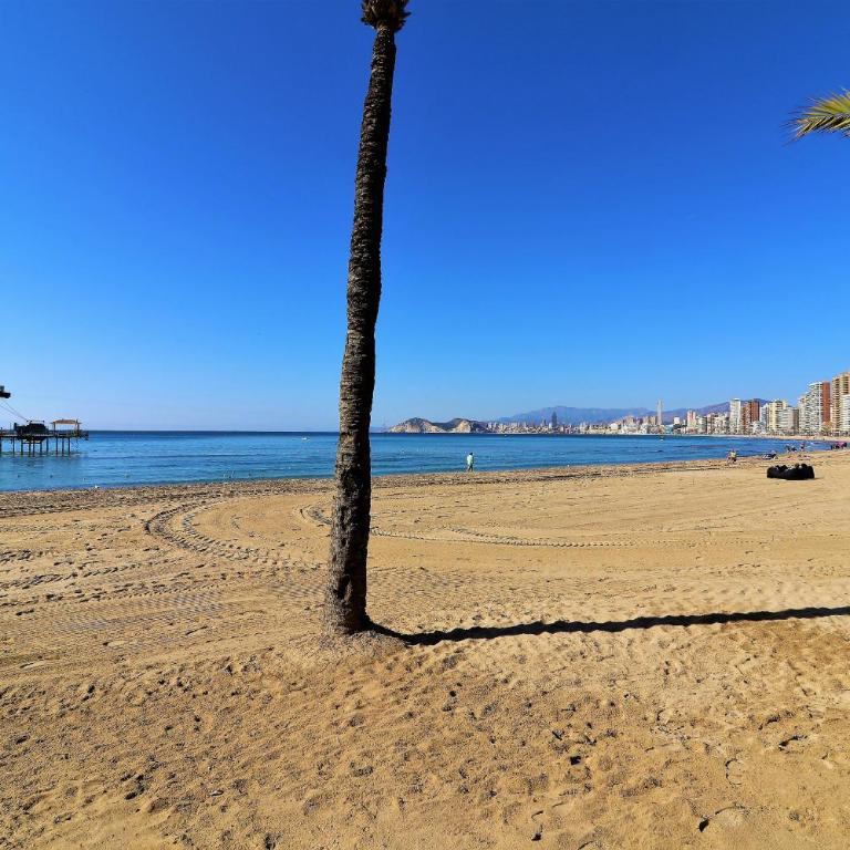 Trinisol Sea views 24E - Apartamento - 35